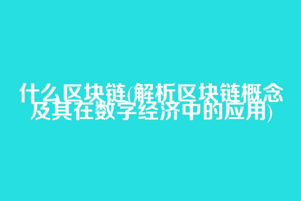 什么区块链(解析区块链概念及其在数字经济中的应用)