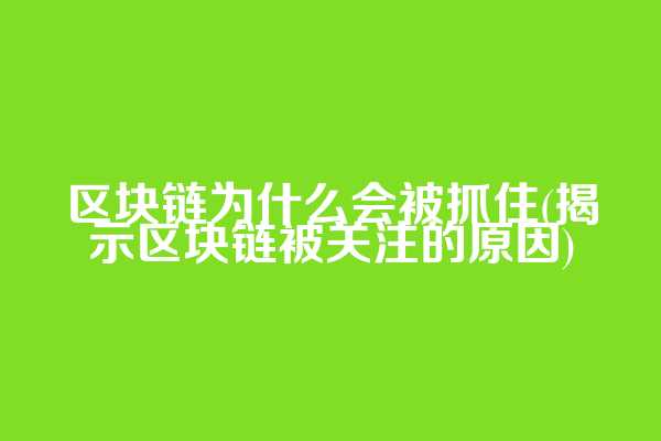区块链为什么会被抓住(揭示区块链被关注的原因)