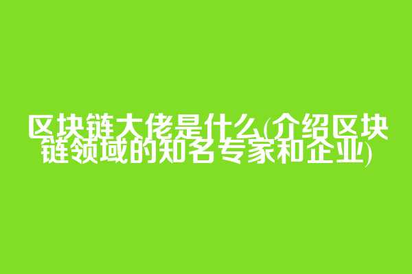 区块链大佬是什么(介绍区块链领域的知名专家和企业)