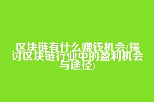 区块链有什么赚钱机会(探讨区块链行业中的盈利机会与途径)