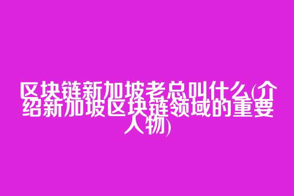 区块链新加坡老总叫什么(介绍新加坡区块链领域的重要人物)