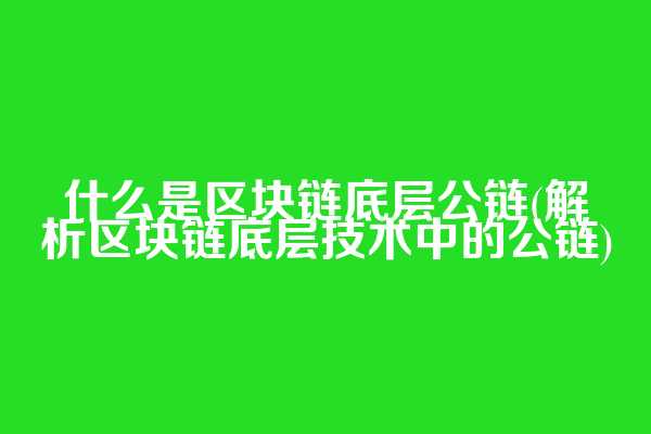 什么是区块链底层公链(解析区块链底层技术中的公链)