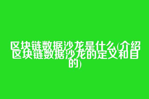 区块链数据沙龙是什么(介绍区块链数据沙龙的定义和目的)
