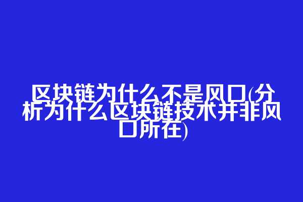 区块链为什么不是风口(分析为什么区块链技术并非风口所在)