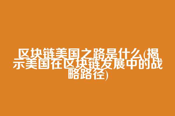区块链美国之路是什么(揭示美国在区块链发展中的战略路径)