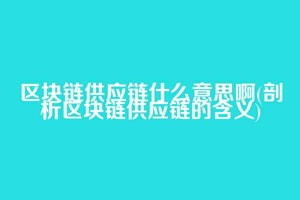 区块链供应链什么意思啊(剖析区块链供应链的含义)