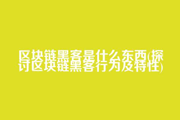 区块链黑客是什么东西(探讨区块链黑客行为及特性)  第1张