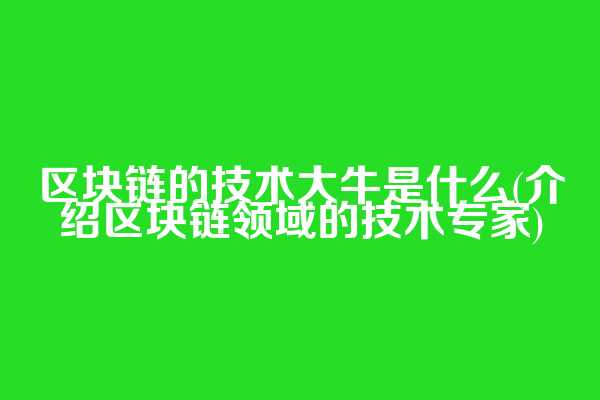区块链的技术大牛是什么(介绍区块链领域的技术专家)