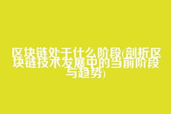 区块链处于什么阶段(剖析区块链技术发展中的当前阶段与趋势)