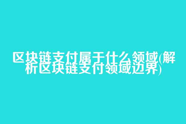 区块链支付属于什么领域(解析区块链支付领域边界)