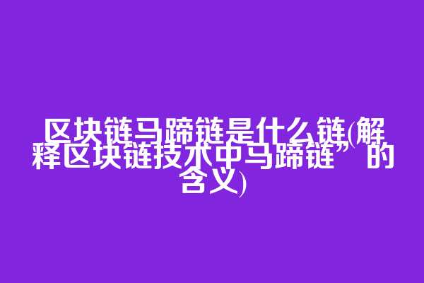 区块链马蹄链是什么链(解释区块链技术中马蹄链”的含义)