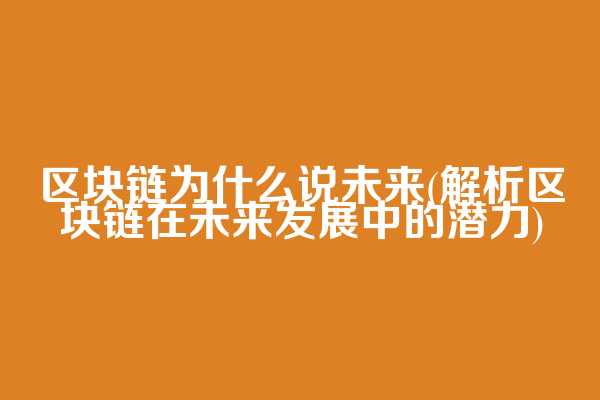 区块链为什么说未来(解析区块链在未来发展中的潜力)