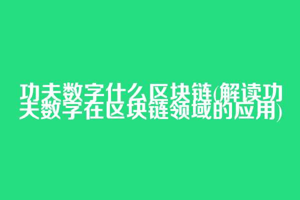 功夫数字什么区块链(解读功夫数字在区块链领域的应用)