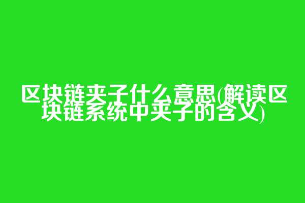 区块链夹子什么意思(解读区块链系统中夹子的含义)  第1张