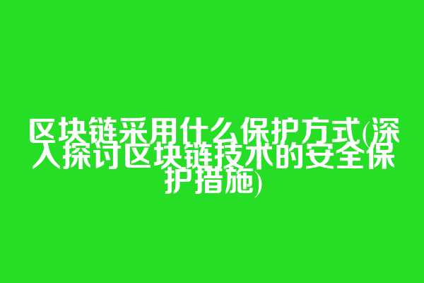 区块链采用什么保护方式(深入探讨区块链技术的安全保护措施)