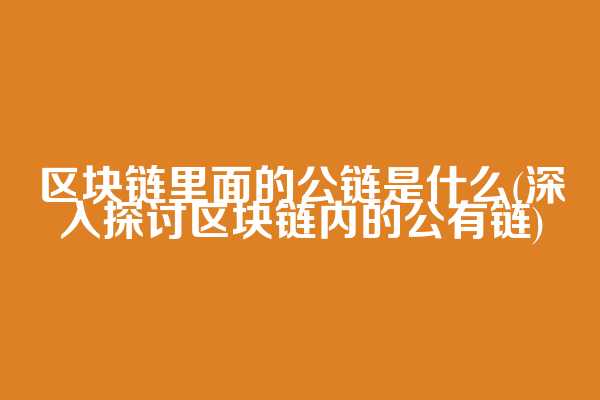 区块链里面的公链是什么(深入探讨区块链内的公有链)