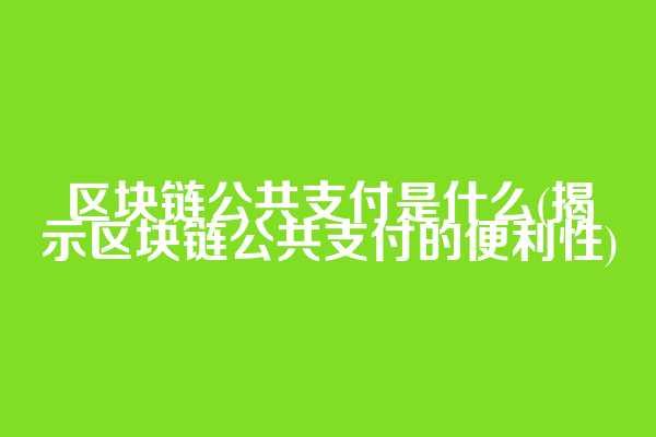 区块链公共支付是什么(揭示区块链公共支付的便利性)