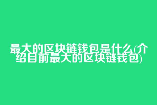 最大的区块链钱包是什么(介绍目前最大的区块链钱包)