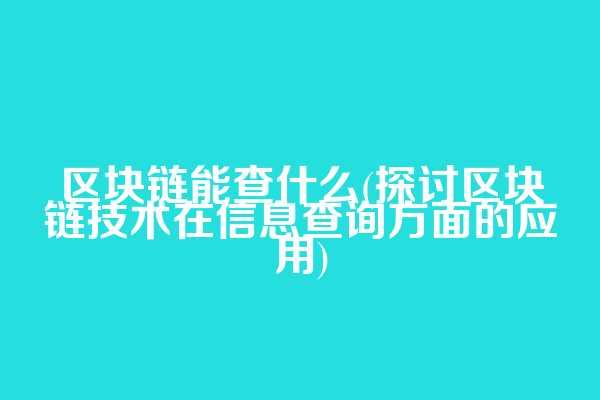 区块链能查什么(探讨区块链技术在信息查询方面的应用)