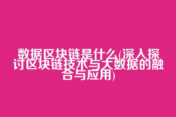 数据区块链是什么(深入探讨区块链技术与大数据的融合与应用)