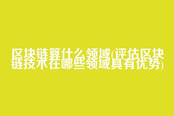 区块链算什么领域(评估区块链技术在哪些领域具有优势)