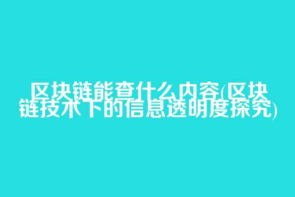 区块链能查什么内容(区块链技术下的信息透明度探究)