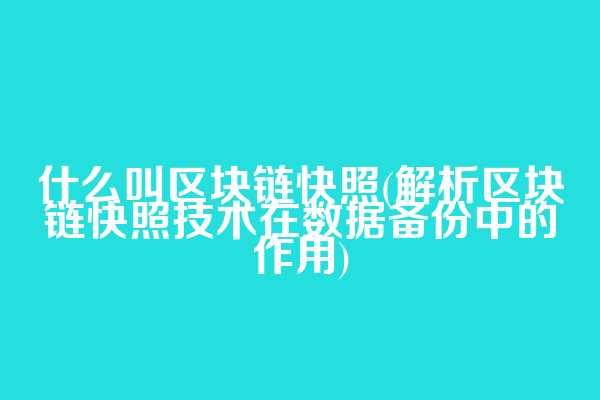 什么叫区块链快照(解析区块链快照技术在数据备份中的作用)  第1张
