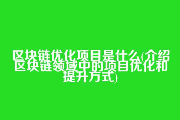 区块链优化项目是什么(介绍区块链领域中的项目优化和提升方式)