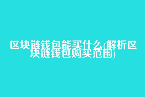 区块链钱包能买什么(解析区块链钱包购买范围)