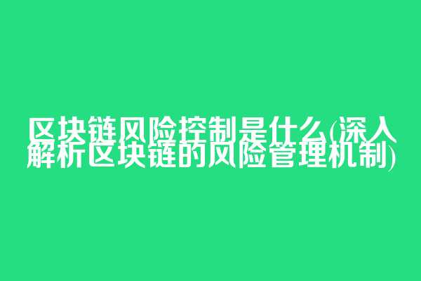 区块链风险控制是什么(深入解析区块链的风险管理机制)