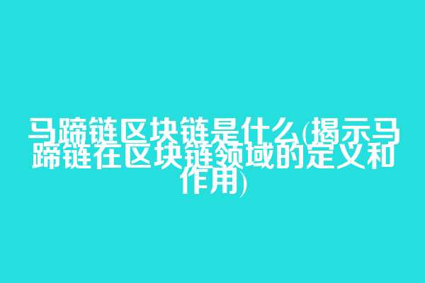 马蹄链区块链是什么(揭示马蹄链在区块链领域的定义和作用)
