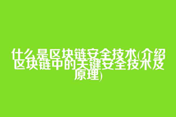 什么是区块链安全技术(介绍区块链中的关键安全技术及原理)