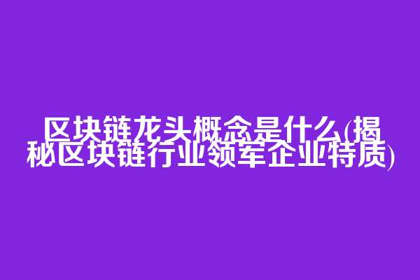 区块链龙头概念是什么(揭秘区块链行业领军企业特质)