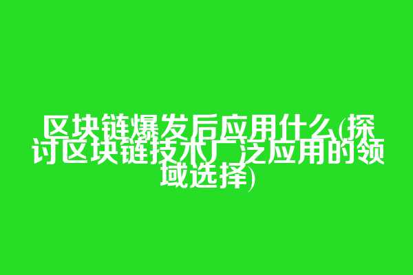 区块链爆发后应用什么(探讨区块链技术广泛应用的领域选择)