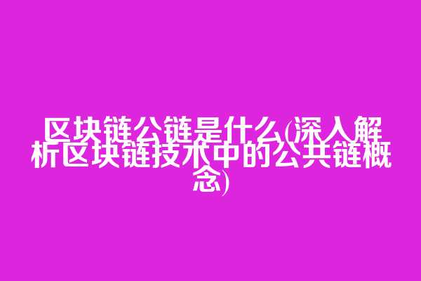 区块链公链是什么(深入解析区块链技术中的公共链概念)
