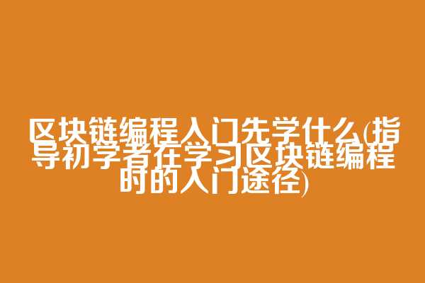 区块链编程入门先学什么(指导初学者在学习区块链编程时的入门途径)