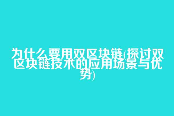 为什么要用双区块链(探讨双区块链技术的应用场景与优势)