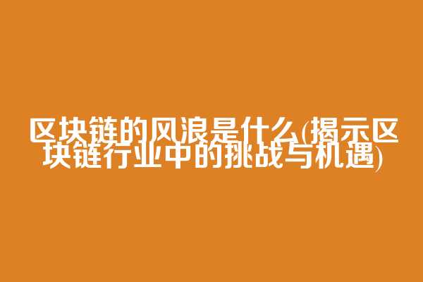 区块链的风浪是什么(揭示区块链行业中的挑战与机遇)