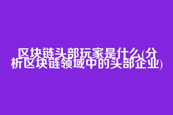 区块链头部玩家是什么(分析区块链领域中的头部企业)