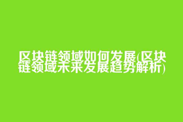 区块链领域如何发展(区块链领域未来发展趋势解析)