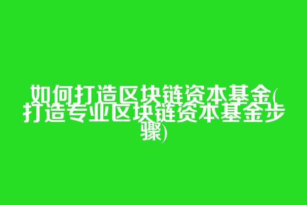 如何打造区块链资本基金(打造专业区块链资本基金步骤)