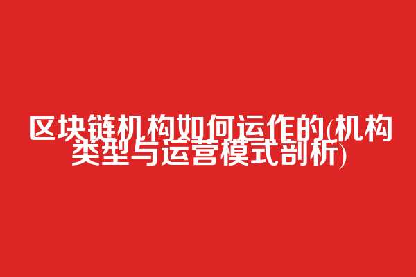 区块链机构如何运作的(机构类型与运营模式剖析)