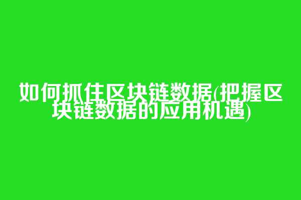 如何抓住区块链数据(把握区块链数据的应用机遇)