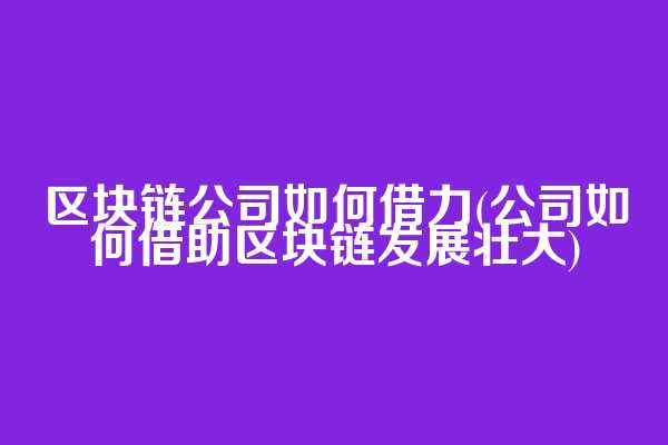 区块链公司如何借力(公司如何借助区块链发展壮大)  第1张