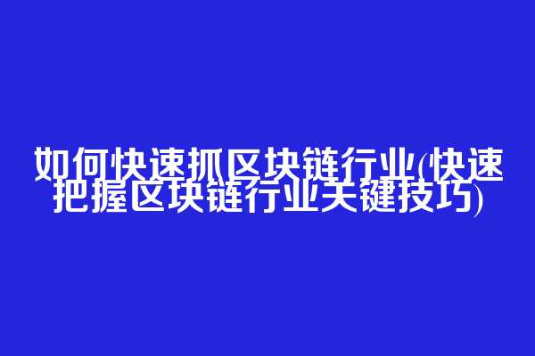 如何快速抓区块链行业(快速把握区块链行业关键技巧)