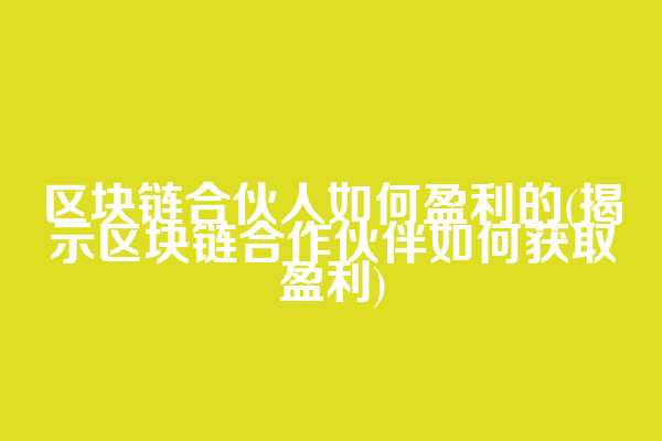 区块链合伙人如何盈利的(揭示区块链合作伙伴如何获取盈利)