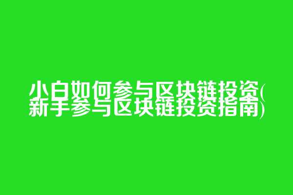 小白如何参与区块链投资(新手参与区块链投资指南)  第1张