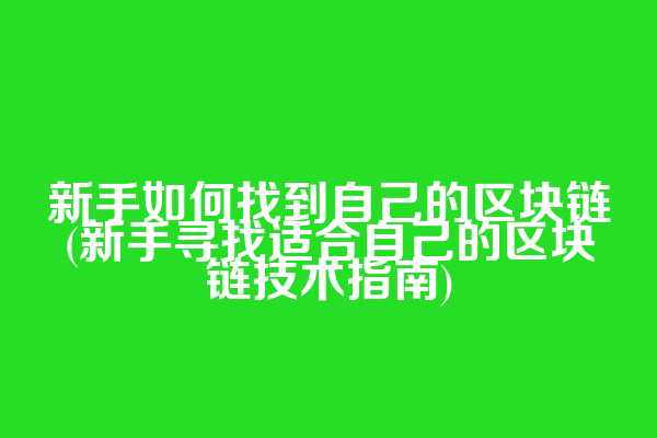 新手如何找到自己的区块链(新手寻找适合自己的区块链技术指南)