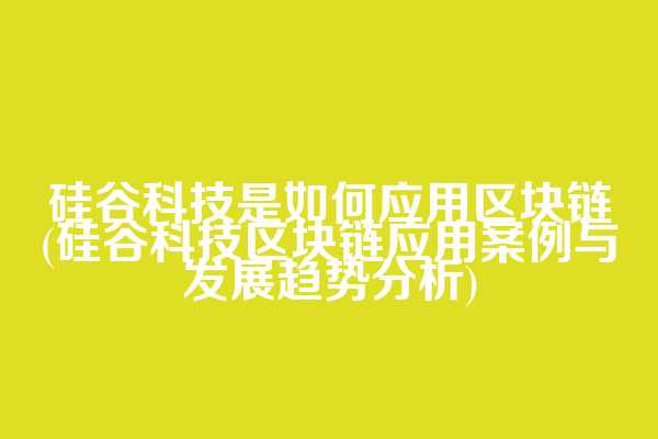 硅谷科技是如何应用区块链(硅谷科技区块链应用案例与发展趋势分析)