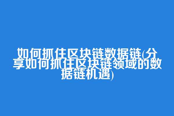 如何抓住区块链数据链(分享如何抓住区块链领域的数据链机遇)